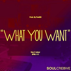 Davido x Jay Sean x Justin Bieber Type Beat - "What You Want" | Pop Type Beats