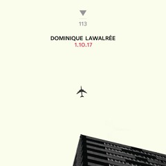 DS113 - Dominique Lawalree - 1.10.17