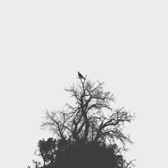 i'll become what I deserve