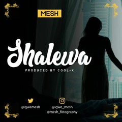 Mesh Shalewa Prod By CoolX