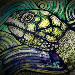 TURTLE'S TRIP // WallyenS Erredeka tekno