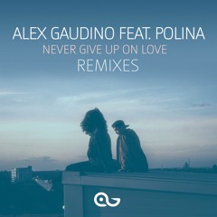 Alex Gaudino Feat. Polina - Never Give Up On Love (Flatdisk Remix Edit)