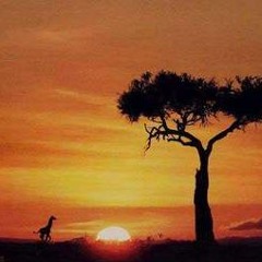 m and sidiki diabate -lamomali (rework by andrew st germain )