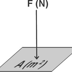 Anpressdruck