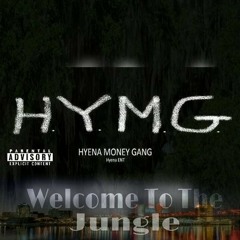 HYMG - Up There