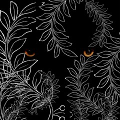 lojii - lo in the jungle (prod. thook) [Indie Current Premiere]