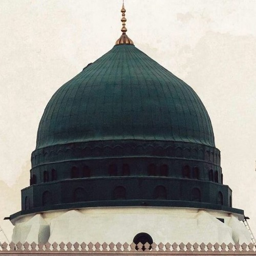 روحي بتهوى طه الزين