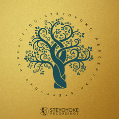 Hibrid - Flower The Black (Marcus Sur Remix) | Steyoyoke