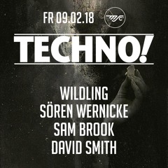 Wildling @ Techno! | MS Connexion Mannheim | 09.02.2018