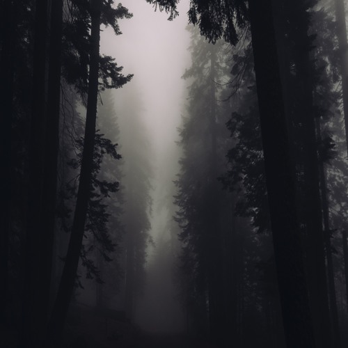 Apache - Nightwood