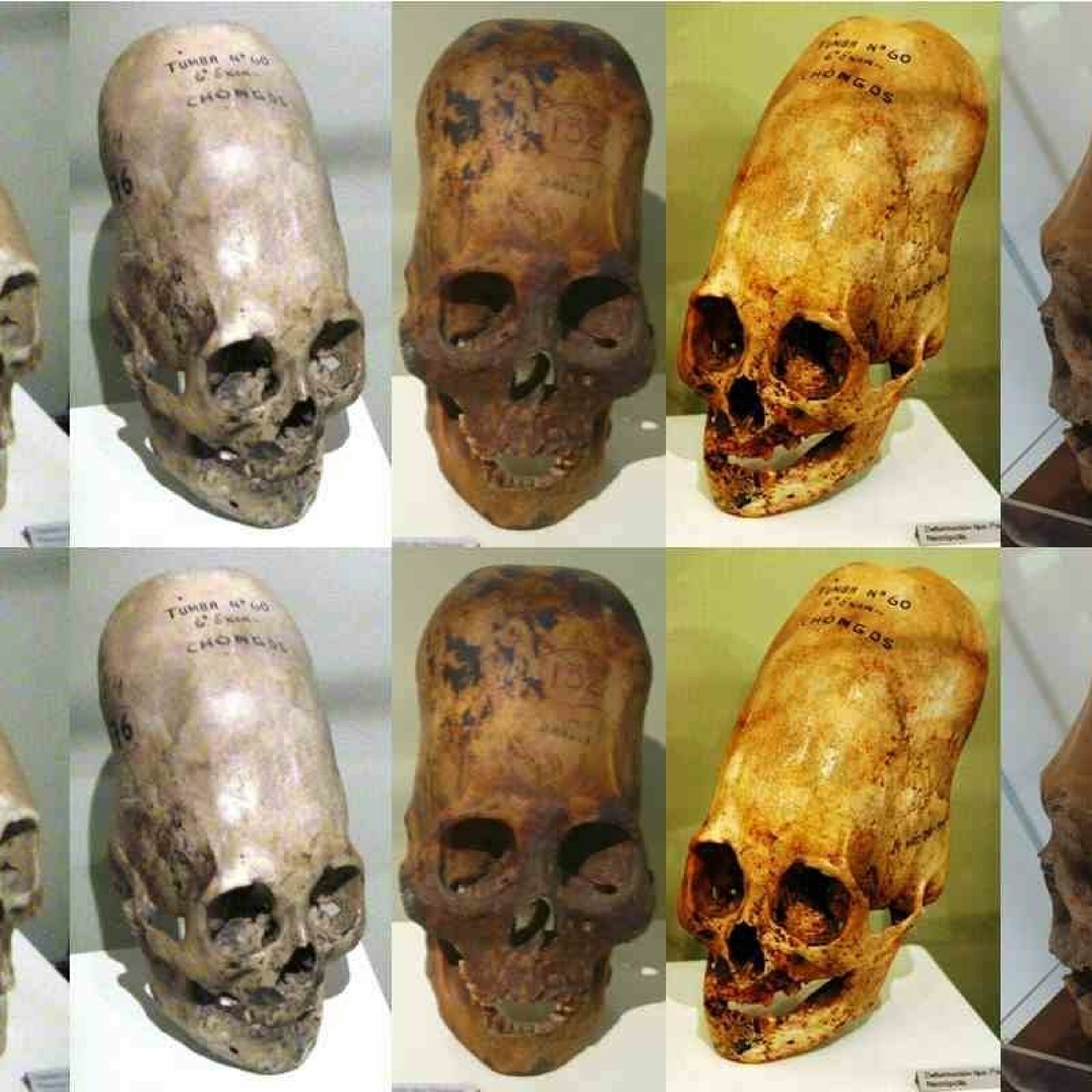 LA Marzulli Shares DNA Test Results From Elongated Paracas Skulls episode artwork