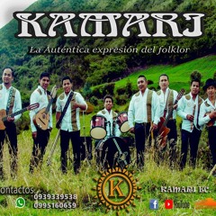 Kamari Ec ft Amigos Millonarios - Cruel Ausencia