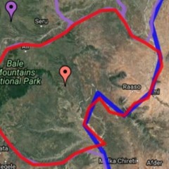 "በመዳወላቡ ወተት በመሸጥ ላይ የነበሩ ሁለት እናቶች በጥይት ተገድለዋል"- ነዋሪ