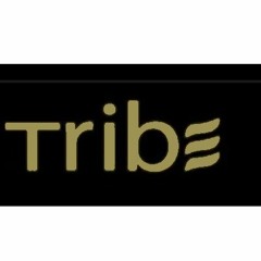 Triby23 Format Tribe 2018