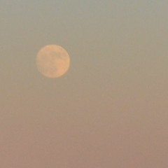 Beyond The Moon And The Sun