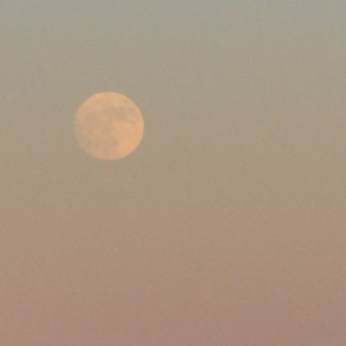 Beyond The Moon And The Sun