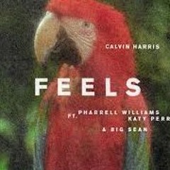 Feels-Calvin Harris acoustic cover