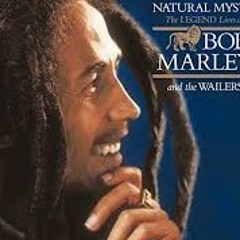Natural mystic Bob Marley acoustic cover