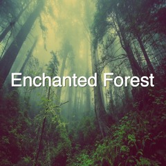 Enchanted Forest (Children - Fantasy - New Age)