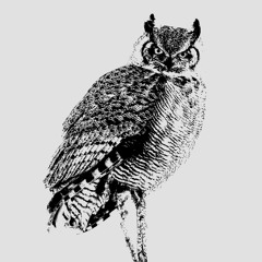 Let Me Read Your Poetry Books