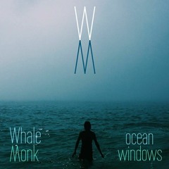 LIFE GOES MANDALA - from "Ocean Windows"