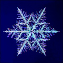 HRNDZ' - Snowflake