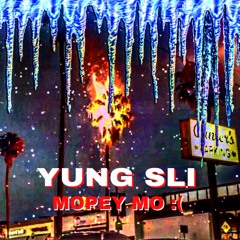 palm trees in the winter (yung sli & mopey)