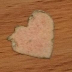 Hallelujah On The Bum