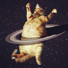 Cat spaceship