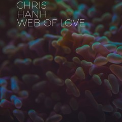 PREMIERE: Web Of Love (Original Mix)
