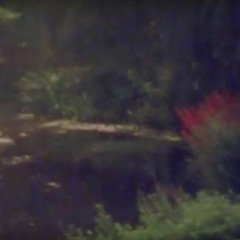 yung avid - pestilence