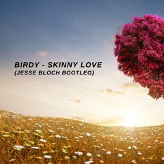 Birdy - Skinny Love (Jesse Bloch Bootleg) [FREE DOWNLOAD]