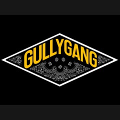 Gully gang Divine ft-Insane | 2018 | gucci gang cover | divine | extended