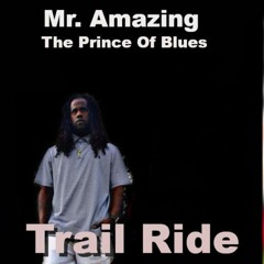 Mr. Amazing= Trail Ride