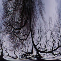 Not What You Think I Am