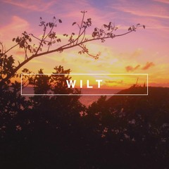WILT - Sunset