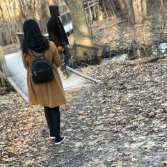 Chris rojo ft. Delusionaldan - rosy