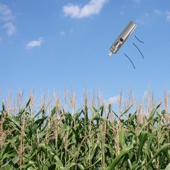 i would throw my vape in a cornfield for you