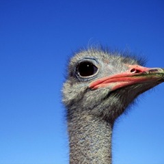 Are Your Emotions Who You Are