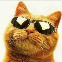 тупо отдыхаю