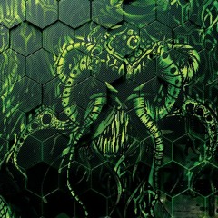 GurtRude - Swamp Sessions - Zenon Records label Party GOA  - TECH PROG -