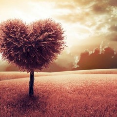 Mon coeur est disposé