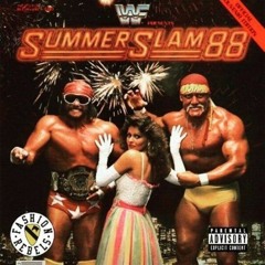 Randy Savage & Hulk Hogan Chillout Zone