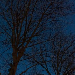 Je te laisserai des mots (cover)