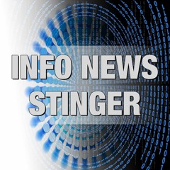 Info News Stinger (Logo - Ident - Opener)