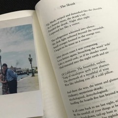 Seamus Heaney - 'The Skunk'