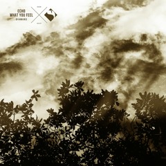 Diamans - What You Feel