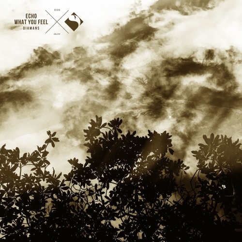 Diamans - What You Feel