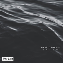 Wave Organic (Original mix) (Previews)