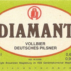 Twinpitchers - Closing Party Alte Diamantbrauerei Magdeburg 17.07.2010